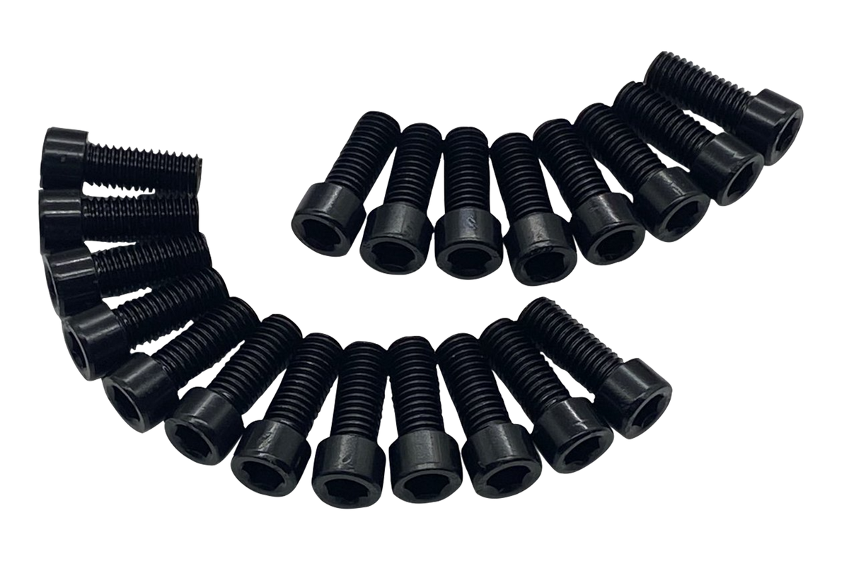 M8 x 20 mm Hex Screws for Sim Rigs & Monitor Stands – Set of 20 – set of 20 M8 x 20 mm hex socket screws for sim rigs – photo 1 of 1